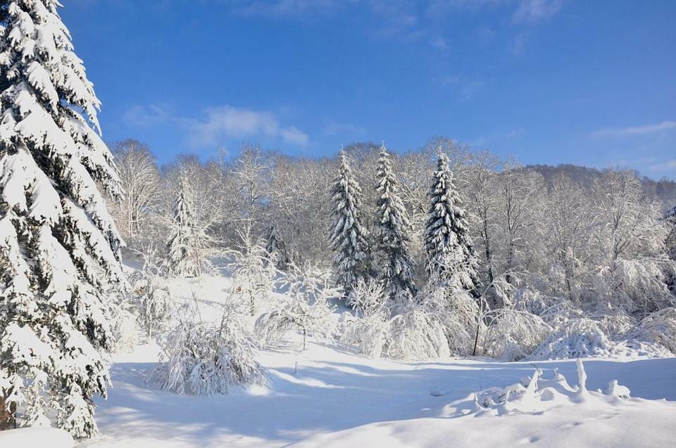 Le Reve De Charles Villa Faucompierre ภายนอก รูปภาพ